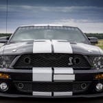shelby